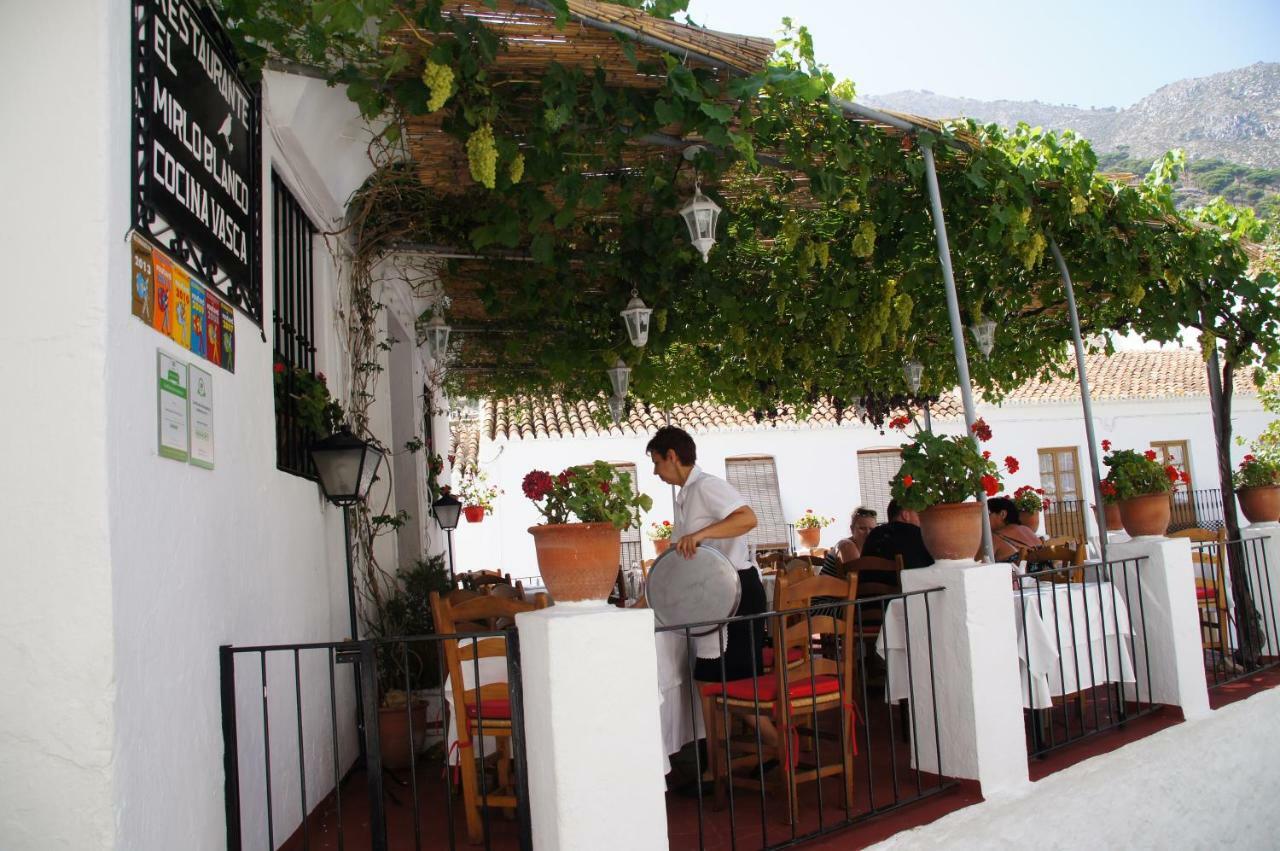 Elviria